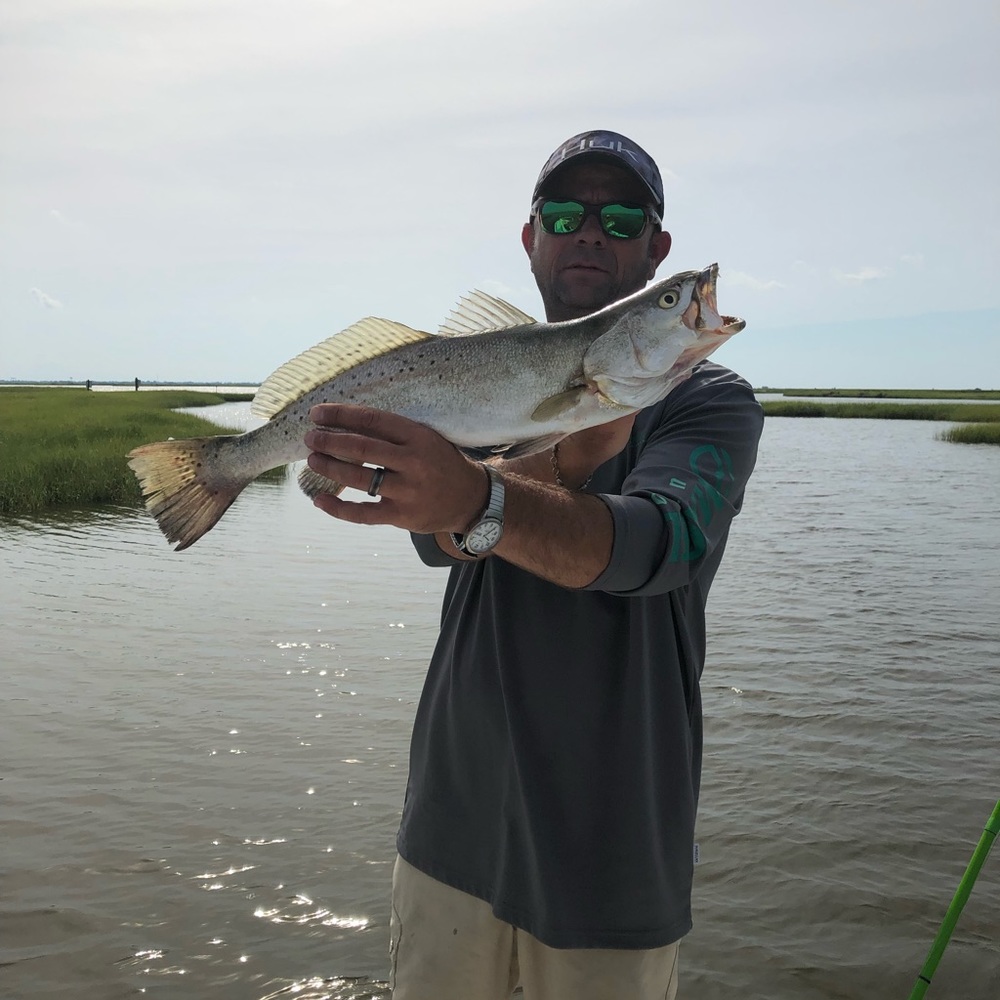 Meet your Posher, Brian